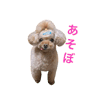 かわいいアポロくん（個別スタンプ：9）