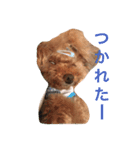 かわいいアポロくん（個別スタンプ：10）