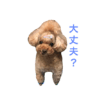 かわいいアポロくん（個別スタンプ：15）