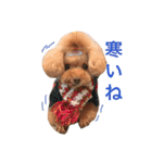 かわいいアポロくん（個別スタンプ：17）