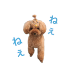 かわいいアポロくん（個別スタンプ：23）