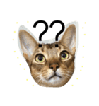 ねこのはるです（個別スタンプ：4）