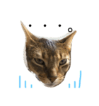 ねこのはるです（個別スタンプ：38）