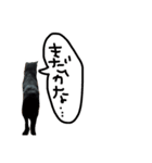 菅原家の動物達2（個別スタンプ：4）