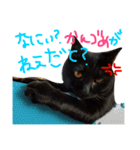 菅原家の動物達2（個別スタンプ：7）