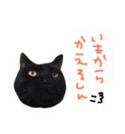 菅原家の動物達2（個別スタンプ：10）