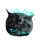 菅原家の動物達2（個別スタンプ：11）