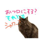 菅原家の動物達2（個別スタンプ：12）