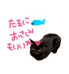 菅原家の動物達2（個別スタンプ：14）