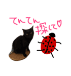 菅原家の動物達2（個別スタンプ：16）