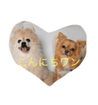 クーちゃん＆プリンちゃん（個別スタンプ：16）