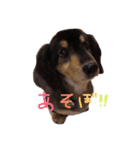 るーくのすたんぷ（個別スタンプ：5）