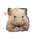 ぶーもっちー（個別スタンプ：3）