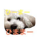 ぶーもっちー（個別スタンプ：18）