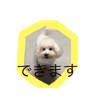 ぶーもっちー（個別スタンプ：23）