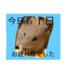 ぶーもっちー（個別スタンプ：24）