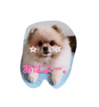 ぽーちゃんたち①（個別スタンプ：2）