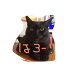 しゃびと仲間たち（個別スタンプ：8）