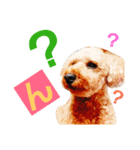 WANPO_2（個別スタンプ：1）