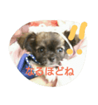 apoooo（個別スタンプ：2）