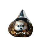 apoooo（個別スタンプ：3）
