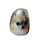apoooo（個別スタンプ：4）