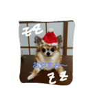 apoooo（個別スタンプ：5）