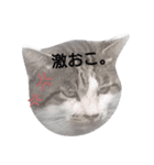 まんまる劇場②（個別スタンプ：2）