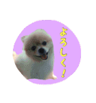 らっぴースタンプスペシャル（個別スタンプ：1）