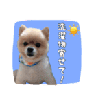 らっぴースタンプスペシャル（個別スタンプ：3）