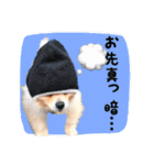 らっぴースタンプスペシャル（個別スタンプ：8）