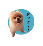 らっぴースタンプスペシャル（個別スタンプ：9）