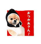 らっぴースタンプスペシャル（個別スタンプ：13）