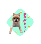 らっぴースタンプスペシャル（個別スタンプ：14）