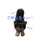 トコきち2（個別スタンプ：4）