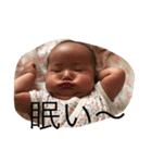 chibi sister（個別スタンプ：1）