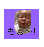 chibi sister（個別スタンプ：11）