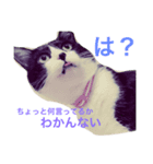 うにの日々（個別スタンプ：1）