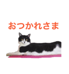 うにの日々（個別スタンプ：6）