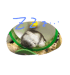 頭を使わないスタンプ（個別スタンプ：21）