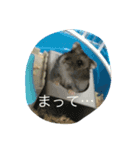 頭を使わないスタンプ（個別スタンプ：22）