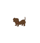 Dachshund Son（個別スタンプ：1）