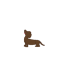 Dachshund Son（個別スタンプ：2）