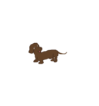 Dachshund Son（個別スタンプ：3）