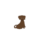 Dachshund Son（個別スタンプ：5）