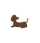 Dachshund Son（個別スタンプ：7）