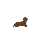 Dachshund Son（個別スタンプ：9）
