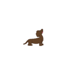 Dachshund Son（個別スタンプ：10）