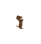 Dachshund Son（個別スタンプ：12）