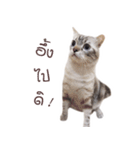 sleepy cooper（個別スタンプ：6）